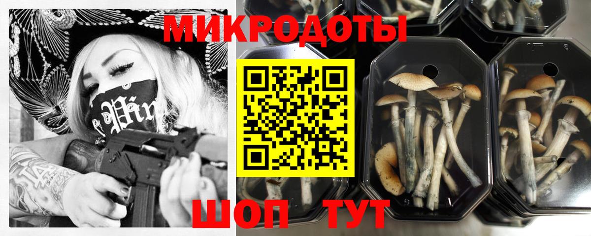 Псилоцибиновые грибы мицелий Артём